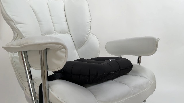 Amazon.com: Nyack Exchange Lumbar Pillow - Inflatable Lumbar